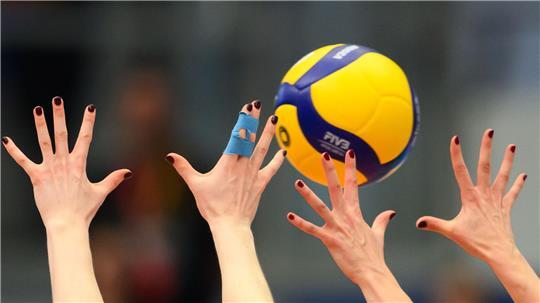 Die Hamburgerinnen gehen mit einem neuen Trainer in die nächste Spielzeit. (Symbolbild)