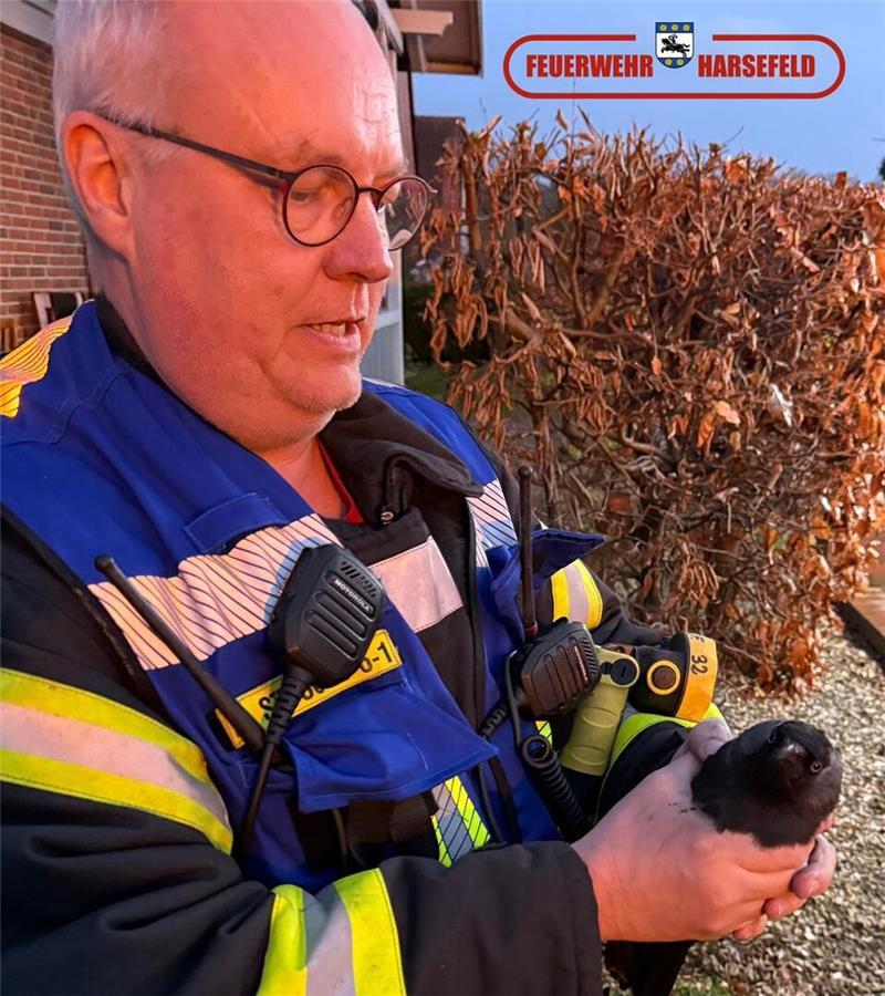 Die Harsefelder Feuerwehr hat einen Vogel gerettet.