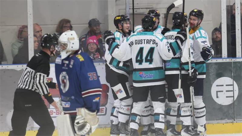 Die Harsefelder Tigers sind mit zwei Siegen in die Saison gestartet.