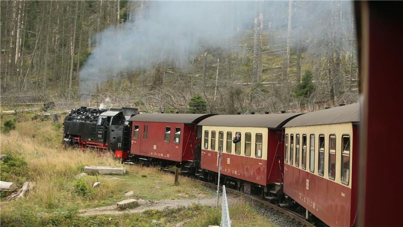 Wetterdienst warnt vor Sturm am Brocken Die Harzer Schmalspurbahn prüft, ob sie am Vormittag zum Brocken fährt. (Archivbild)