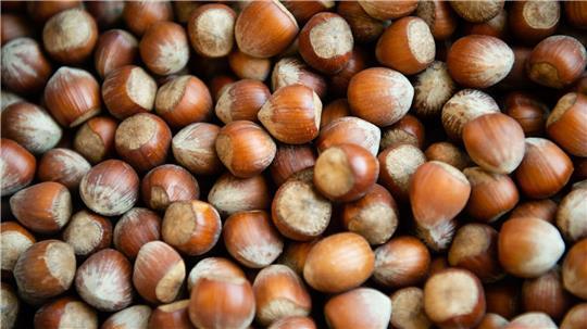 Weniger Haselnüsse aus Italien: Wird Nutella teurer? Die Haselsnussernte ist in Italien so schlecht ausgefallen wie seit Jahrzehnten nicht mehr. (Archivbild)
