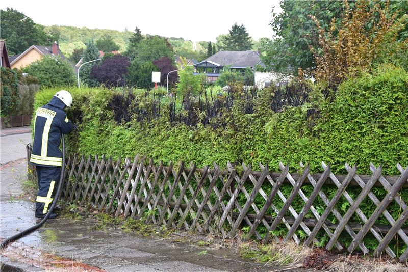 Die Hecke sorgte für ein verrauchtes Wohngebiet.