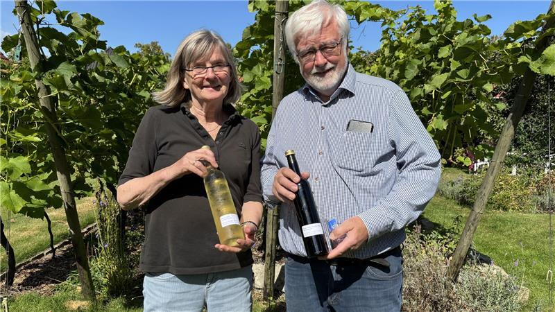 Weinreben mitten in der Stadt: Stader Hobbywinzer stellen edle Tropfen her Die Heinemeyers beweisen, dass mitten in Stade leckerer Wein angebaut werden kann.