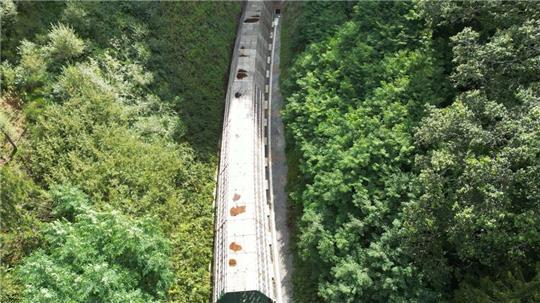 Die Hermann-Hesse-Bahn bei Calw ist ein jüngeres Beispiel für die Reaktivierung alter Bahntrassen. (Archivfoto)