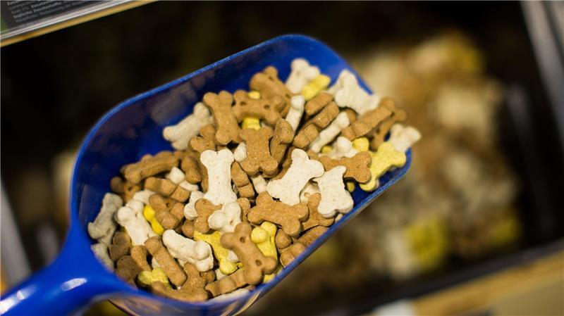 Die Hersteller von Tierfutter waren in den vergangenen Jahren ebenfalls mit steigenden Kosten konfrontiert.