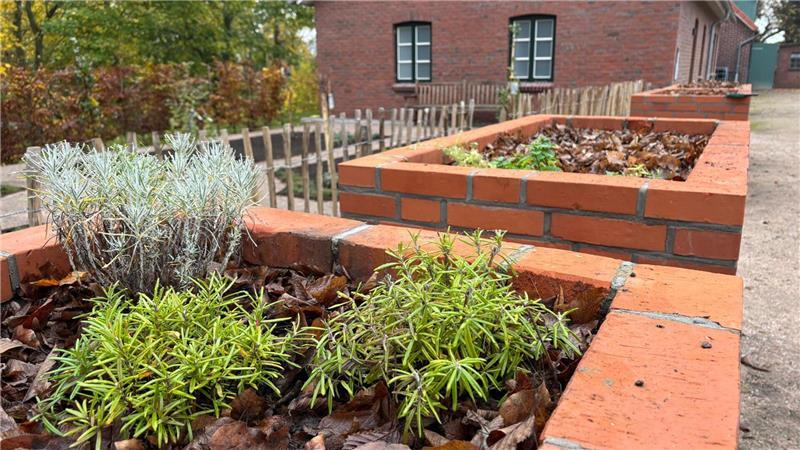 Die Hochbeete aus Ziegelsteinen sollen künftig ebenfalls erblühen.