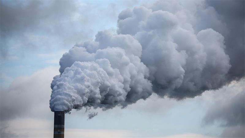 Die Höhe des Preises und starke Schwankungen bremsen Investitionen in klimafreundliche Projekte, meint das Ifo. (Symbolbild)