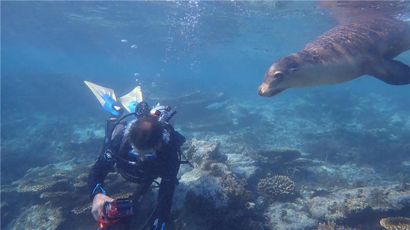 Die Houtman-Abrolhos-Inseln liegen vor der Küste von Westaustralien.