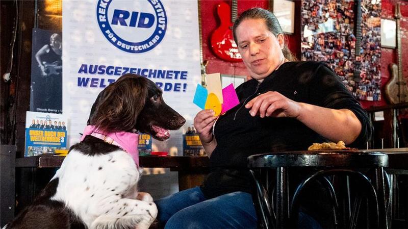 Rekord-Institut feiert mit neuen Rekord-Versuchen Geburtstag Die Hündin „Amie“ erkannte die Namen von 18 Farben und tippte mit ihrer Schnauze auf die richtig gefärbte Karte - auch das ist ein Weltrekord. (Foto aktuell)