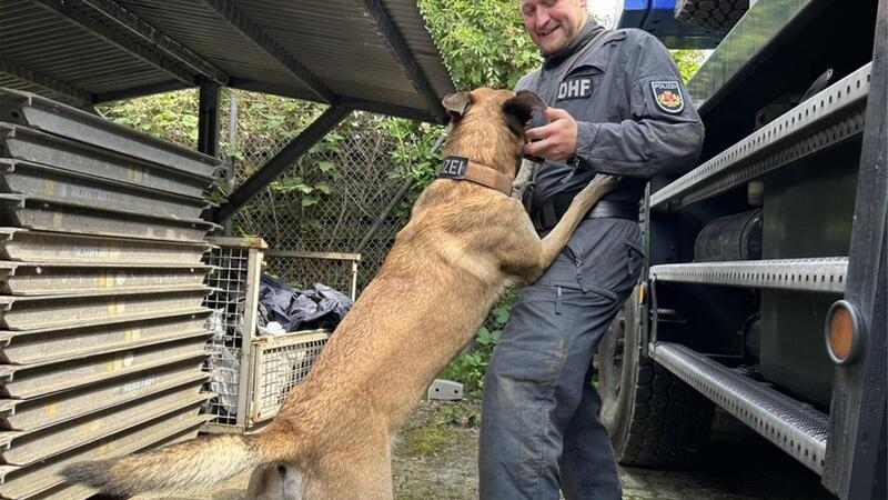 Die Hunde werden in ihrer Ausbildung so gut es geht auf verschiedene Situationen vorbereitet.