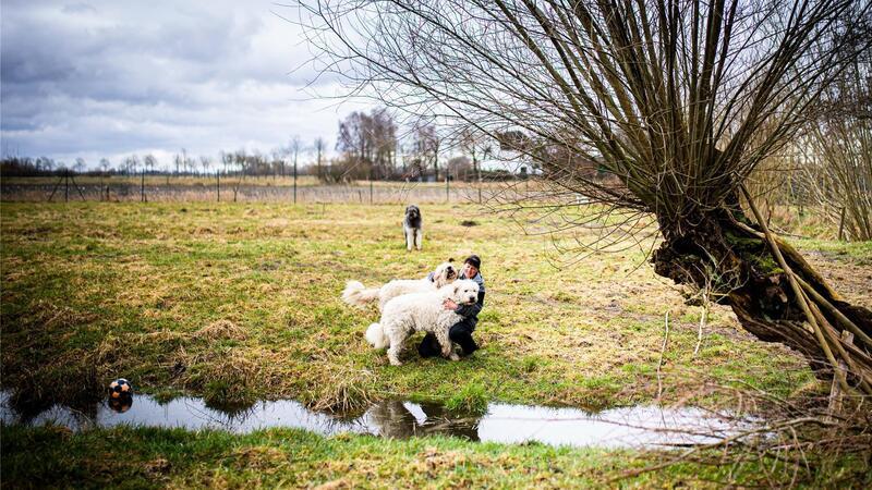 Doris Urban rettet Hunde vorm drohenden Tod Die Hunderetterin lebt auf einem 2,5 Hektar großen Gelände mit einem 4500 Quadratmeter großen, eingezäunten Bereich für Hunde. In enger Zusammenarbeit mit den Tierschutzeinrichtungen der Region, kümmert sie sich hier um die Resozialisierung von Auslandshunden.