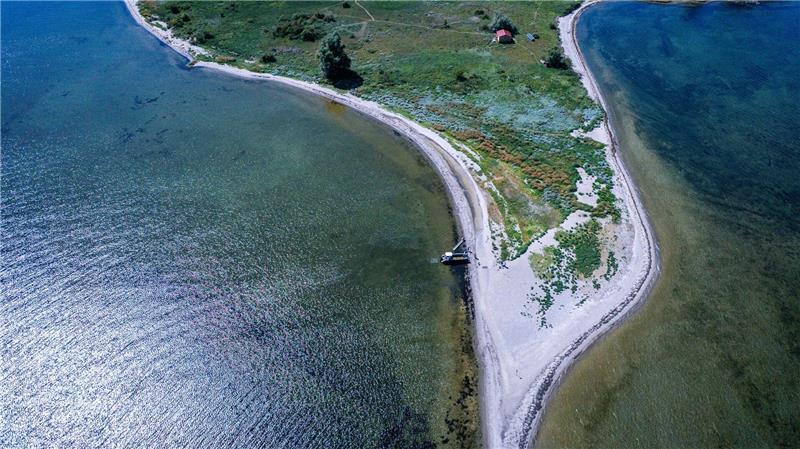 Ziegen als Landschaftspfleger auf der Vogelinsel Walfisch Die Insel Walfisch ist mit knapp neun Hektar die kleinste der drei Vogelschutzinseln in der Wismarbucht.