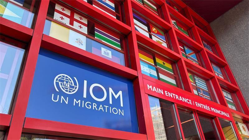 Mindestens 139 Migranten sterben bei Bootsunglück Die Internationale Organisation für Migration meldet über 100 Tote vor der Küste von Dschibuti. (Illustration)