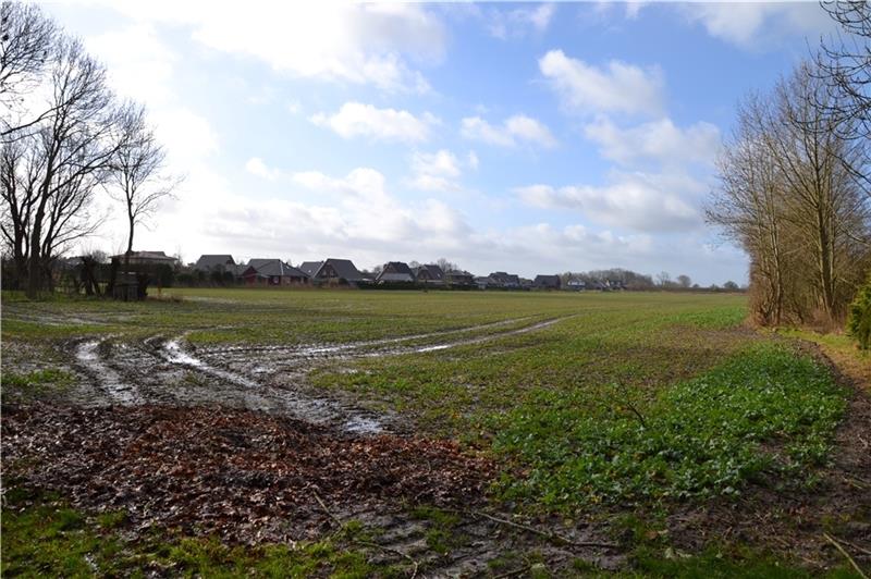 Die Investition von 1,17 Millionen Euro für den Kauf von Bauland im Anschluss an die Diercks-Diekhoff-Siedlung wurde gestrichen, um den Haushalt zu entlasten. Stattdessen soll ein Investor das Bauland erwerben und entwickeln. Foto: Helfferi