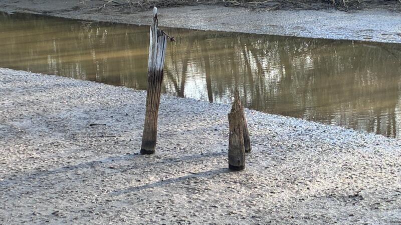 Die Jorker Hauptwettern und die Borsteler Binnenelbe versinken im Schlick.