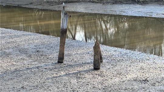 Die Jorker Hauptwettern und die Borsteler Binnenelbe versinken im Schlick.