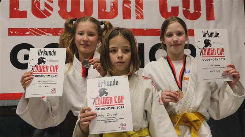 VfL-Judoka kämpfen sich beim Löwen-Cup aufs Podest Die Judoka des VfL Stade räumten beim Löwen-Cup gute Platzierungen ab.