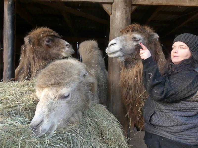 Die Kameldame Renate neben Hof-Betreiberin Yvonne Neumann ist halbblind. Renate lebt am längsten auf dem Tierschutzhof in Dornbuschermoor. Foto: Knappe