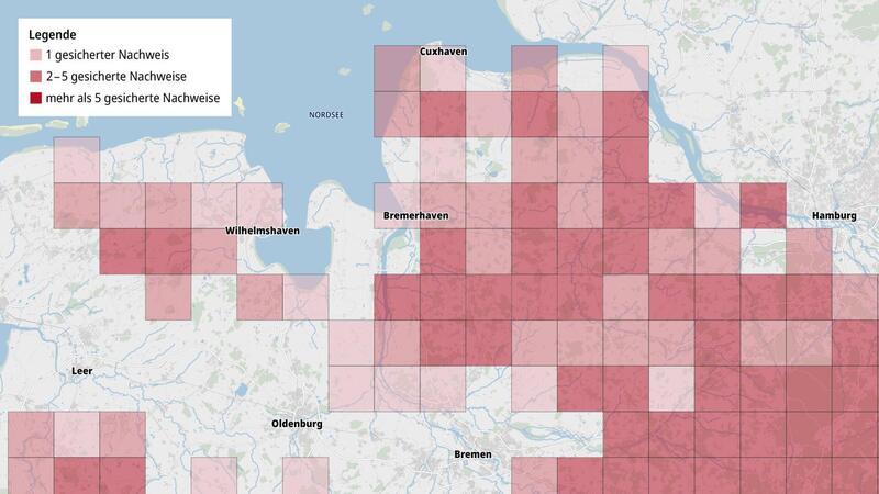Die Karte zeigt, wo in der Region häufig Wölfe nachgewiesen werden. Auf Wolfsmonitoring.com, der Internetseite für das Niedersächsische Monitoringprogramm, sind viele Daten und Statistiken frei verfügbar. 