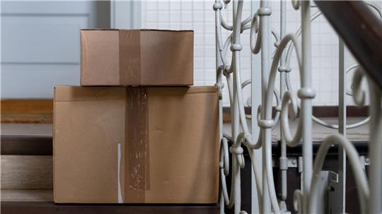 Die Katze hatte sich nach bisherigen Erkenntnissen unbemerkt in den Karton gelegt. (Symbolbild)