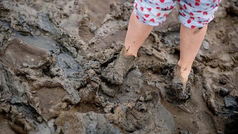 Klimawandel verändert Wattenmeer im Rekordtempo Die Klimaerwärmung im Watt hat auch Folgen für Menschen (Archvibild)