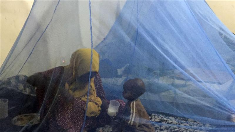 Malaria bleibt tödliche Gefahr für Kinder in Afrika Die Kombination aus imprägnierten Netzen und Impfung scheint einer Studie zufolge besonders wirkungsvoll für den Schutz vor Malaria. (Illustration)