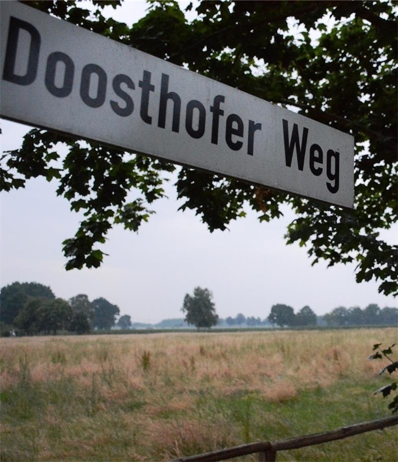 Die Kommune Brest wächst 2016 am Doosthofer Weg. Foto Beneke