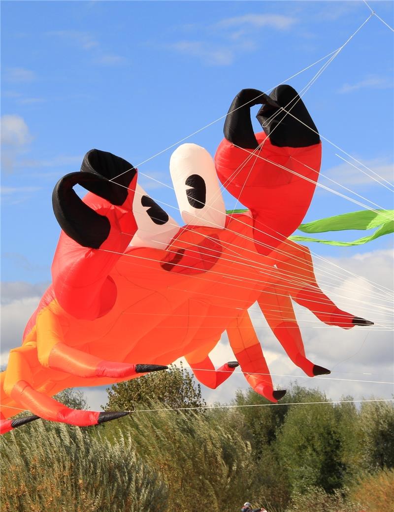 Die Krabbe hat das Ehepaar Grundmann selbst genäht.