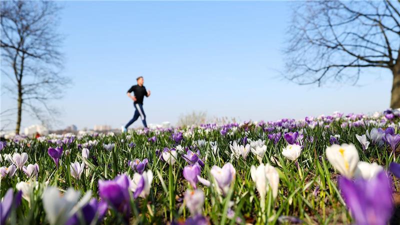 Frühling kommt mit Sonne, Wärme und Schauern im Norden an Die Krokusse an der Außenalster sind dieser Tage nicht das einzige Anzeichen für den Frühlingsbeginn.