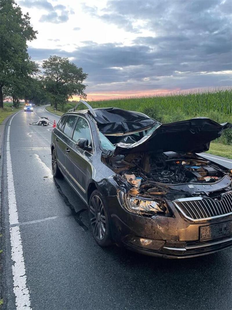 Die Kuh flog über die Windschutzscheibe.