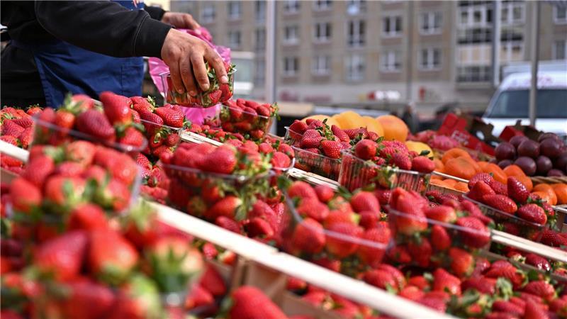 Die Lebensmittelpreise in Deutschland haben sich seit dem Ukraine-Krieg deutlich erhöht (Archivbild)