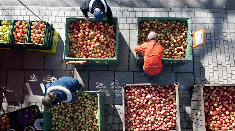 Die Lebensmittelpreise sind seit 2021 um rund ein Drittel gestiegen - mit dem Iran-Krieg droht neuer Preisdruck.