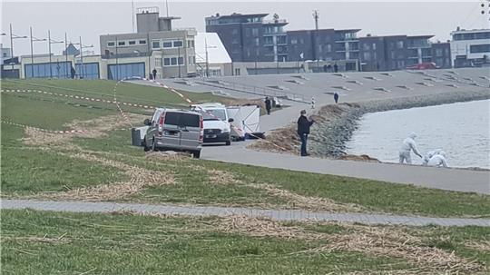 Die Leiche von Ekaterina B. wurde in einem Koffer in der Weser gefunden. Foto: Archiv