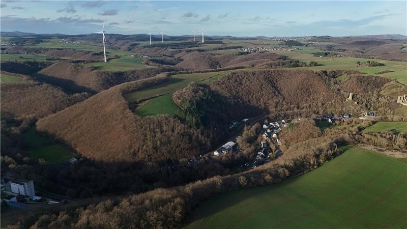 Die Leiche wurde in einem Waldstück bei Monreal entdeckt. (Archivbild)