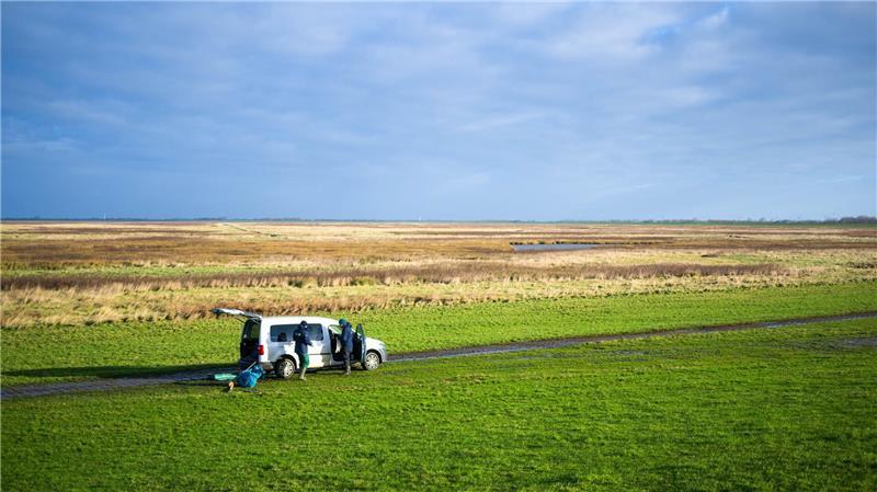 „Wer fraß am Aas?“ - Biodiversität-Hotspots im Wattenmeer Die Leybucht ist nach dem Dollart die zweitgrößte Meeresbucht in Ostfriesland.