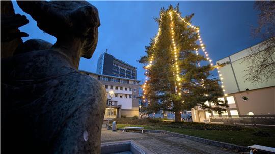 Die Lichterketten sind inzwischen zu klein für den Baum.