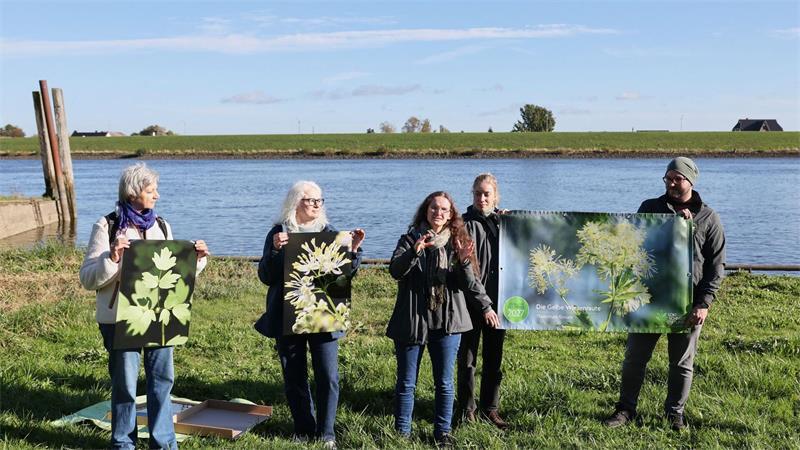 Die Loki Schmidt Stiftung wählt jedes Jahr eine Blume aus, die auf den Schutz der Natur aufmerksam machen soll.