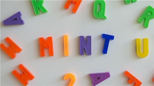 Die Magnetbuchstaben bilden den Begriff MINT. So werden die Fächer Mathematik, Informatik, Naturwissenschaft und Technik zusammenfassend bezeichnet.