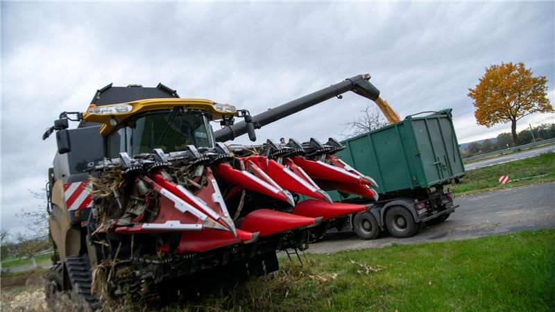 Kartoffel- und Maisernte beginnt: Worauf Autofahrer achten müssen Die Mais- und Kartoffelernte fällt in diesem Jahr gut aus. (Symbolbild)