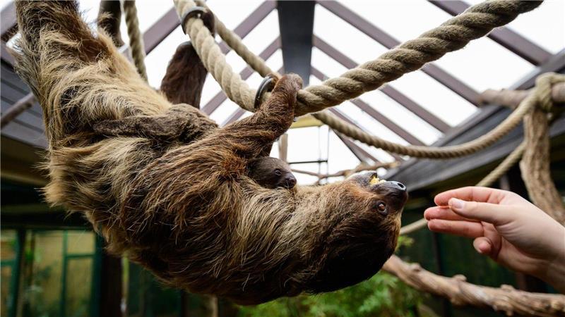 Die Mama nimmt das Ganze gelassen.