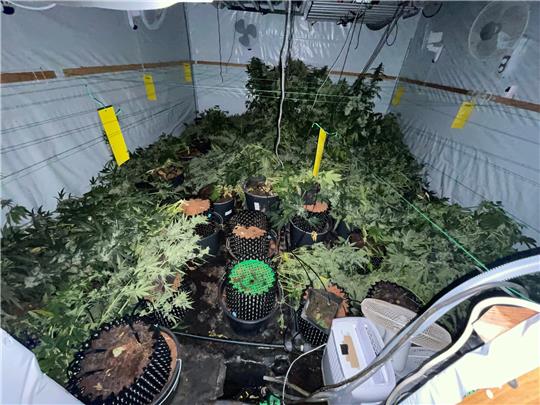Die Marihuana-Plantagen waren in umgebauten Schiffscontainern angelegt. Foto: Polizei