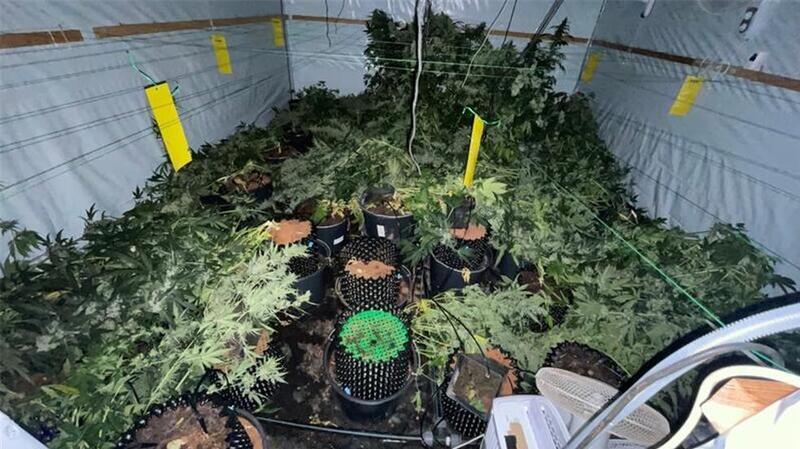 Kutenholzer Drogenbunker: Duo profitiert bei Urteil von neuem Gesetz Die Marihuana-Plantagen waren in umgebauten Schiffscontainern angelegt.