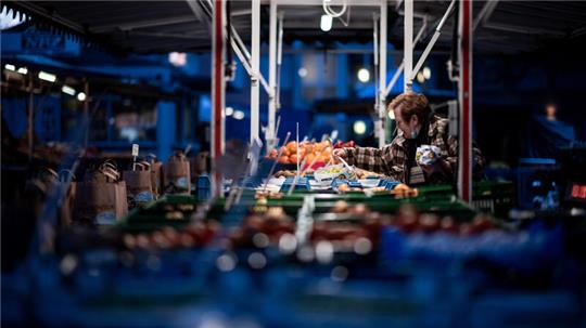 Die Marktbeschicker mussten die Preise deutlich anheben. Das war nicht gut fürs Geschäft.