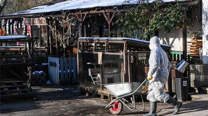 Die Maul- und Klauenseuche hat nicht nur Auswirkungen auf Landwirte in Brandenburg, sondern in allen Bundesländern. (Archivfoto)
