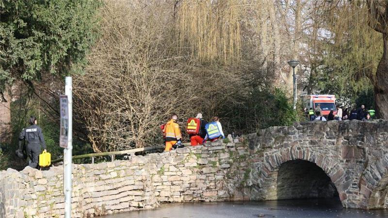 Welche Lehren folgen aus dem Messerangriff in Aschaffenburg? Die Menschen wurden im Park Schöntal angegriffen. (Archivbild)
