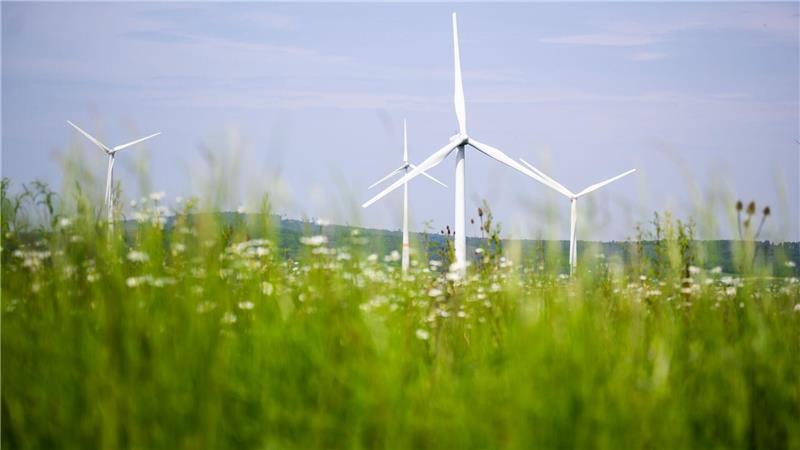 Unterstützung für Projekte zur Energiewende Die Metropolregion Nordwest fördert verschiedene Projekte zur Energiewende mit insgesamt rund 500.000 Euro. (Symbolbild)