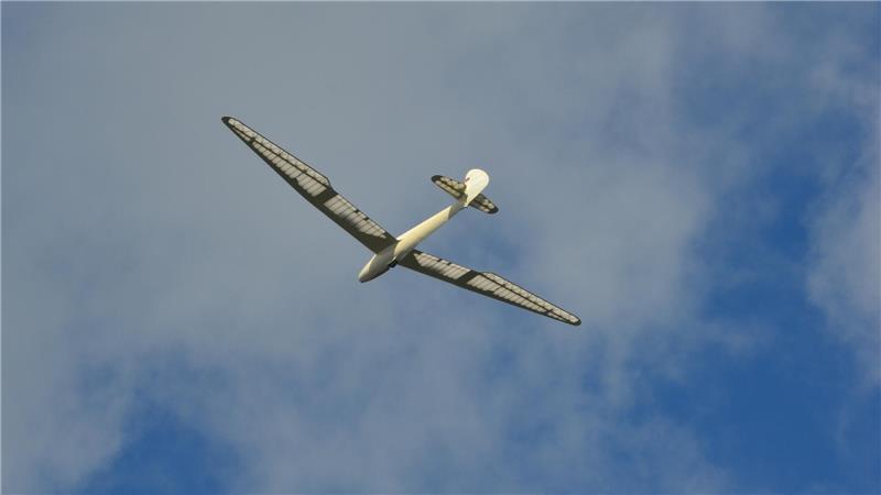 Stader Geigenbauerin bringt eine fliegende Legende wieder in die Luft Die Minimoa am Himmel. Durch das Licht ist die Holzkonstruktion der Flügel gut zu erkennen.