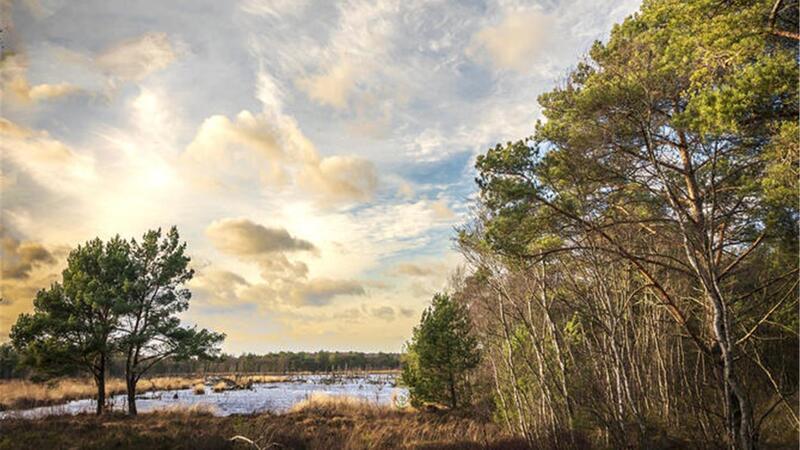 Die Moore im Elbe-Weser-Dreieck sind eine einzigartige Kultur- und Naturlandschaft, in der die vier Kreise Cuxhaven, Osterholz, Rotenburg und Stade ihre Zukunft sehen. 