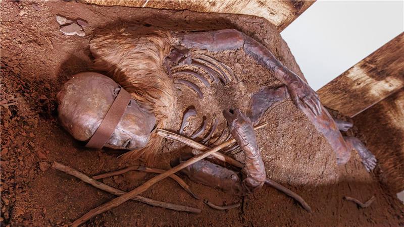 Die Moorleichen sind mit die bekanntesten Exponate auf Schloss Gottorf.