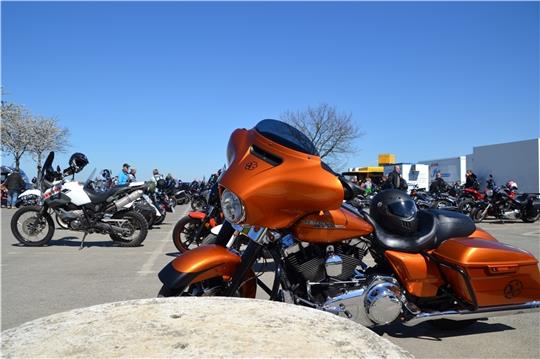 Die Motorrad-Parkfläche am Lühe-Anleger sind bei gutem Wetter gut gefüllt. Doch Parkgebühren werden nicht gezahlt. Foto: Helfferich